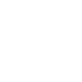Eagle's Tree - Wooden watches